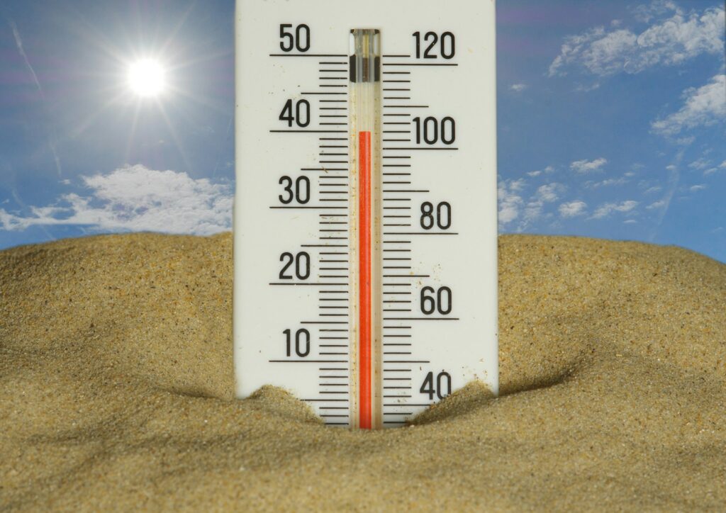 Canicule, le coût de celui-ci