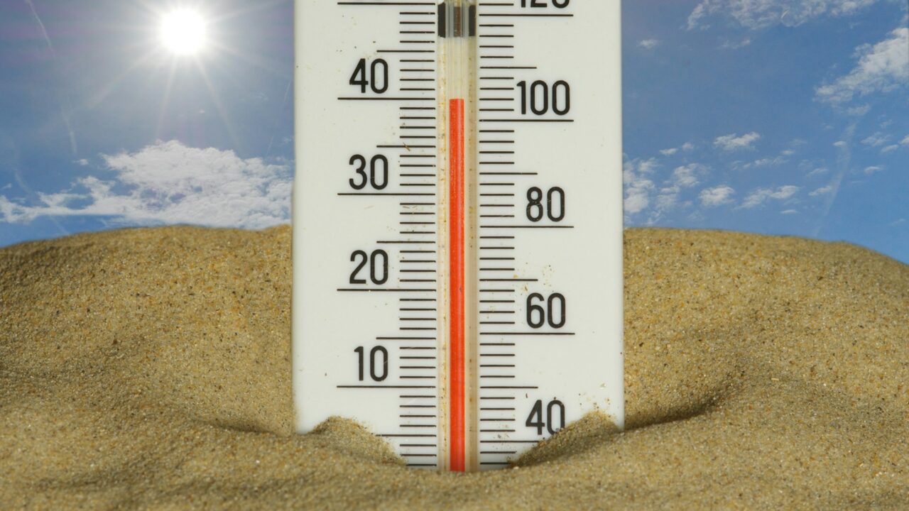Canicule, le coût de celui-ci