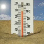 Canicule, le coût de celui-ci