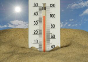Canicule, le coût de celui-ci
