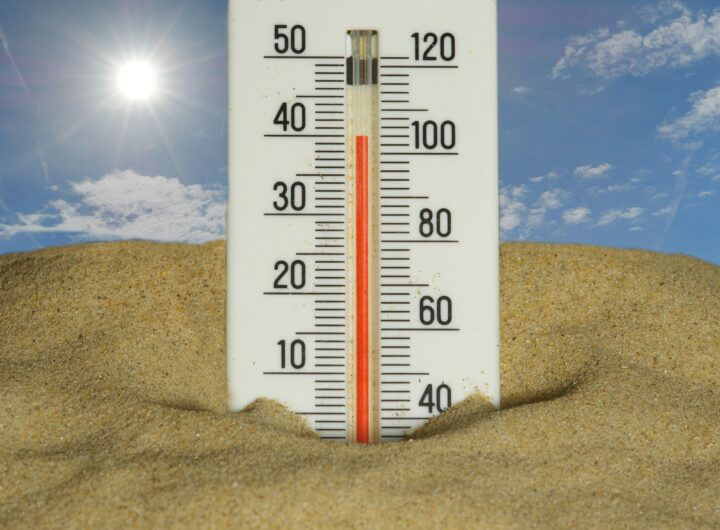 Canicule, le coût de celui-ci